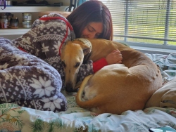 Fundraising Page Image